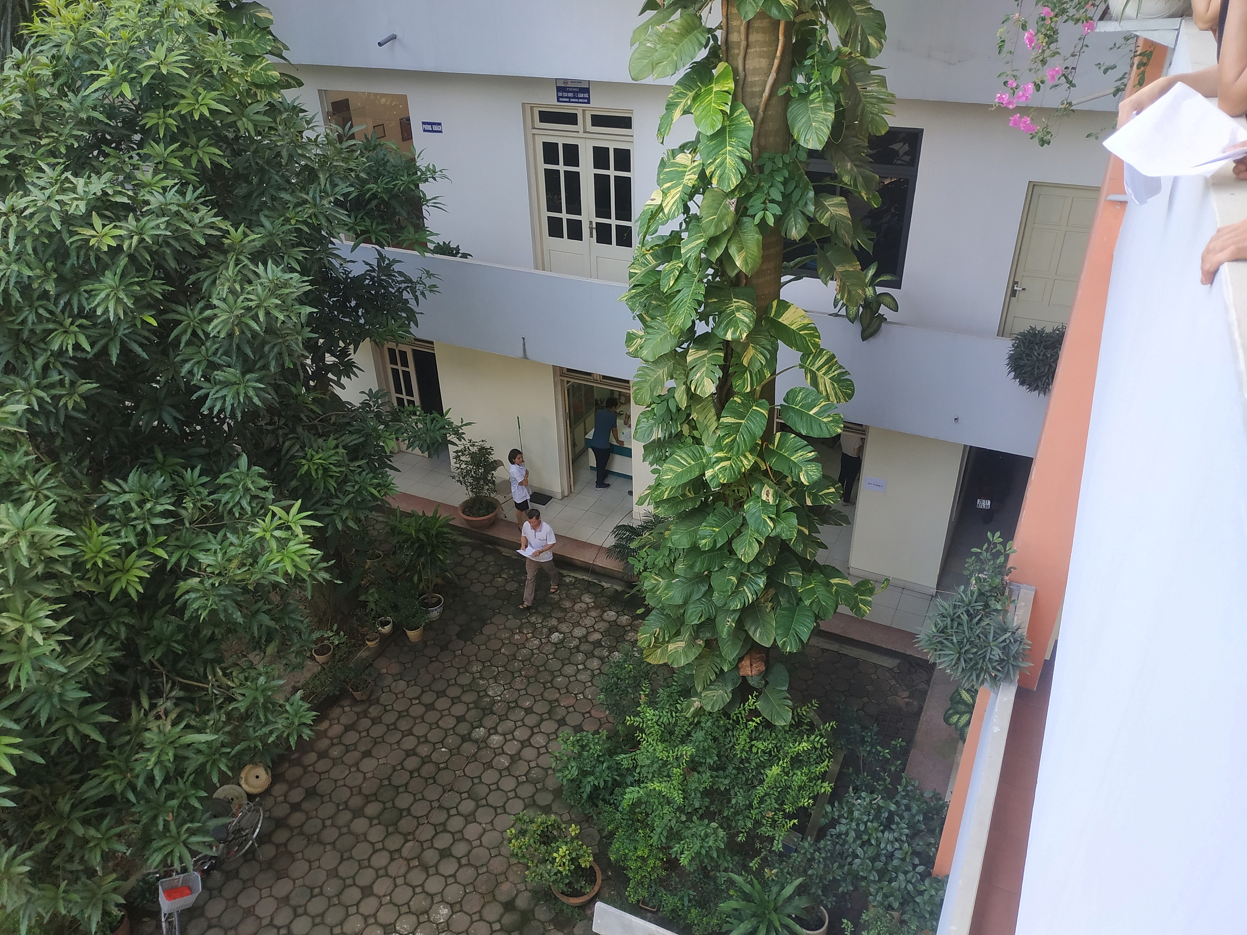 CÔNG TY ĐÔNG HƯNG TỔ CHỨC KHÁM BỆNH ĐỊNH KỲ CHO CB-CNV TRONG CÔNG TY
